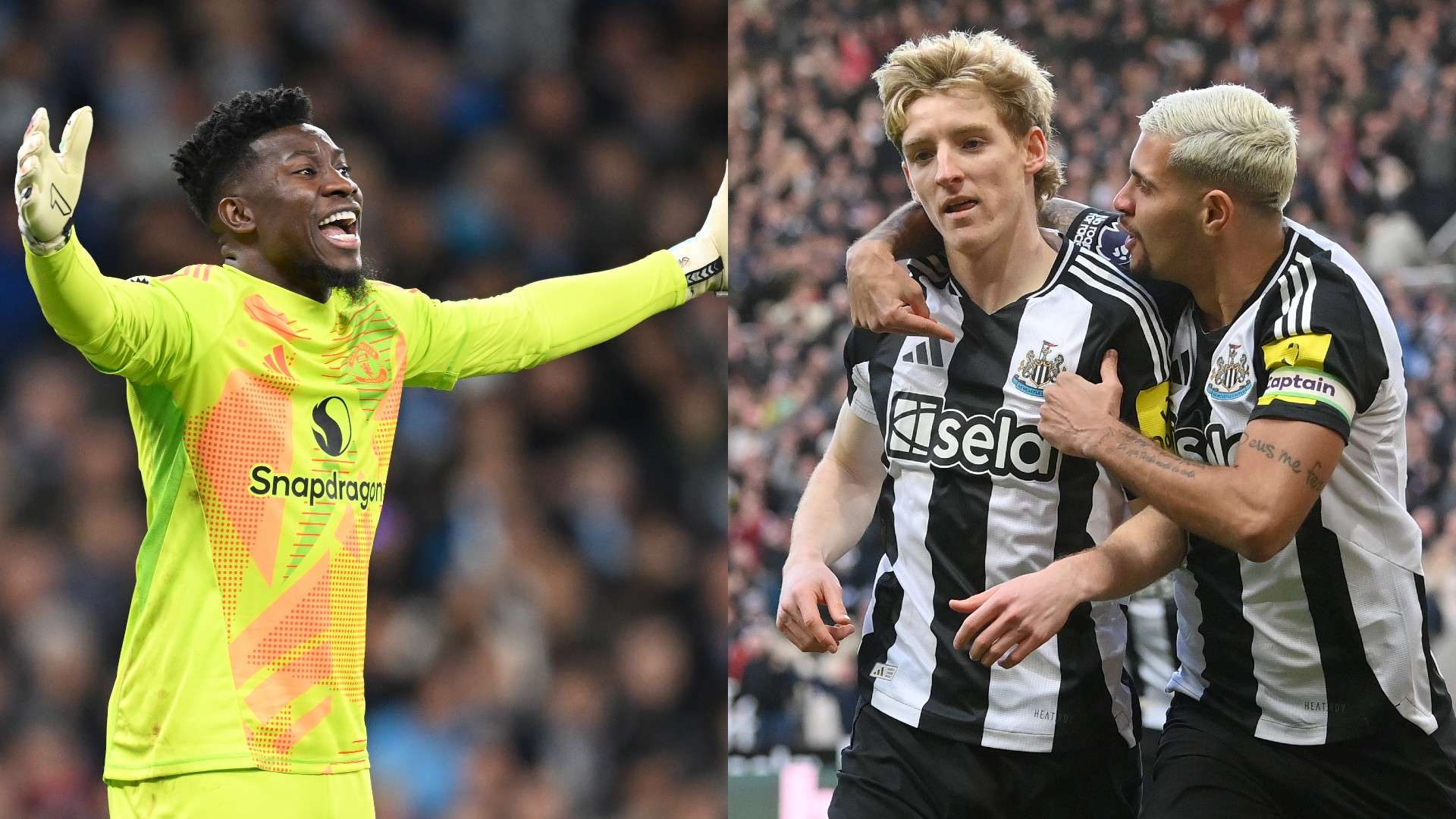 界的巅峰力 界的巅峰力