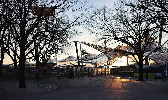 培养和成长 培养和成长