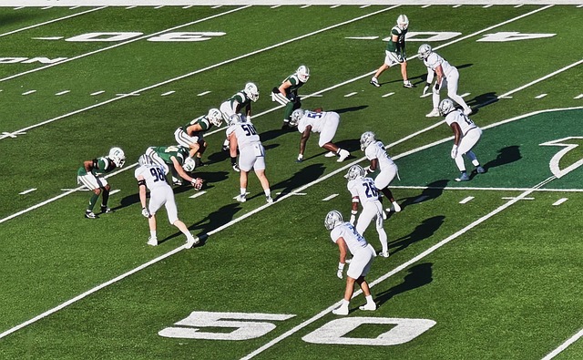 及时分享比 及时分享比