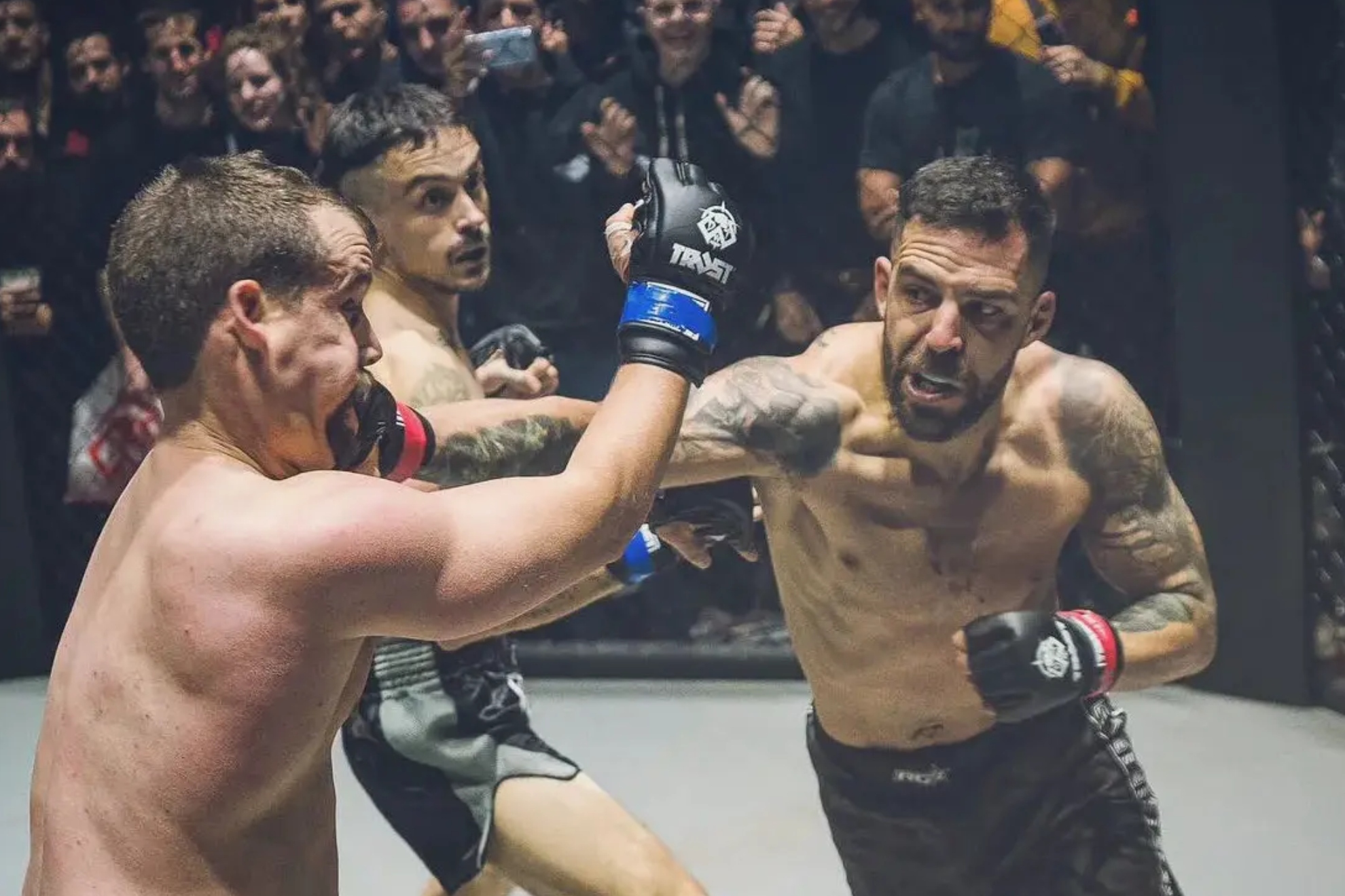 得了胜利 得了胜利