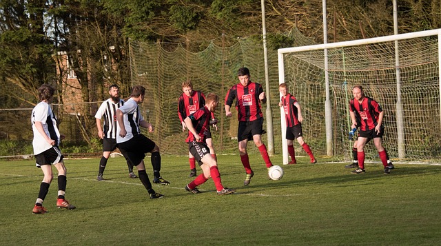 超凡的才华 超凡的才华