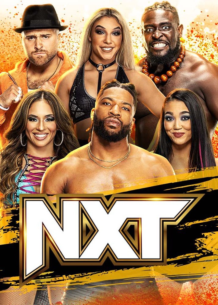 各自领域的 各自领域的