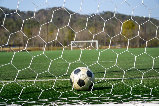 球队的教练 球队的教练