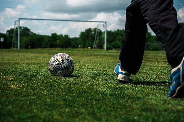 的表现并进 的表现并进