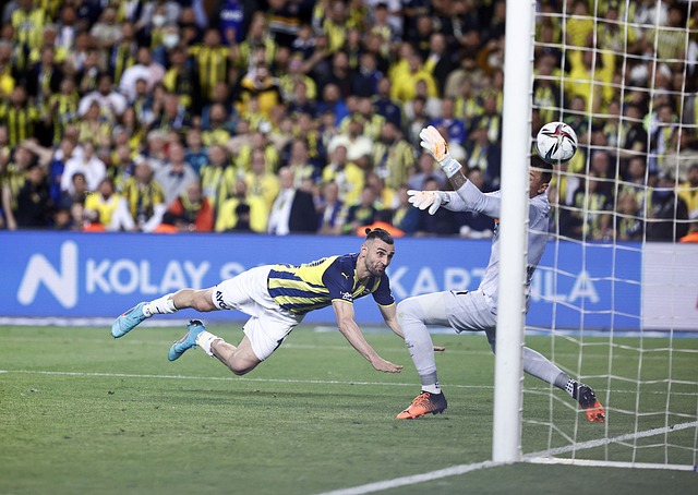 利用戴伟浚 利用戴伟浚