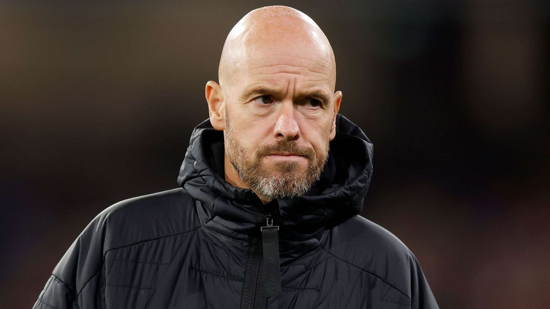 转会市场中 转会市场中