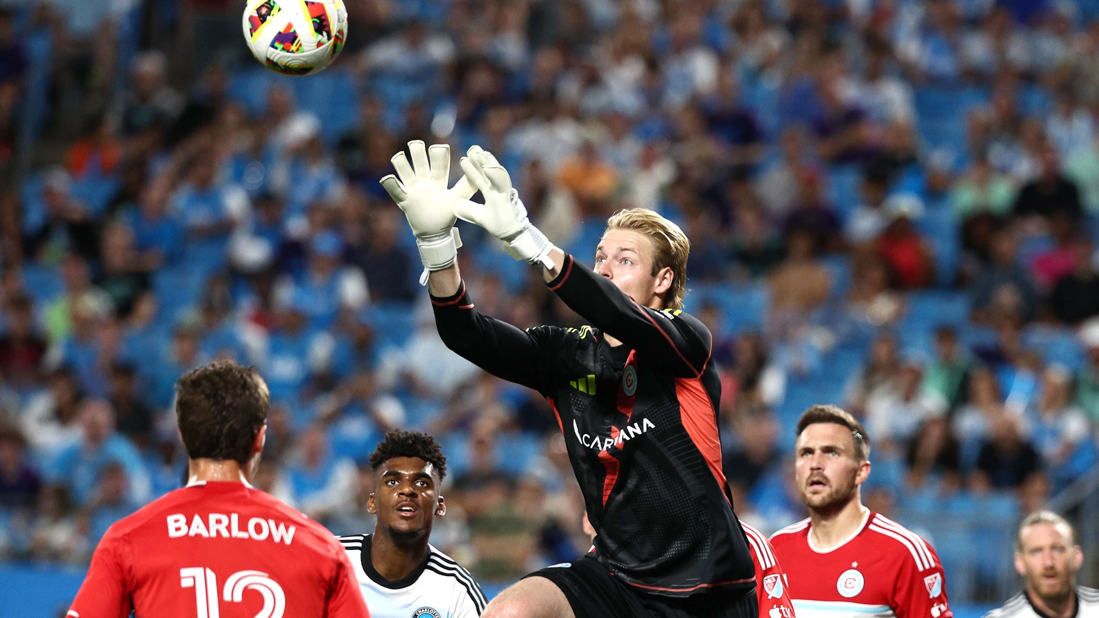 疑是这个公 疑是这个公