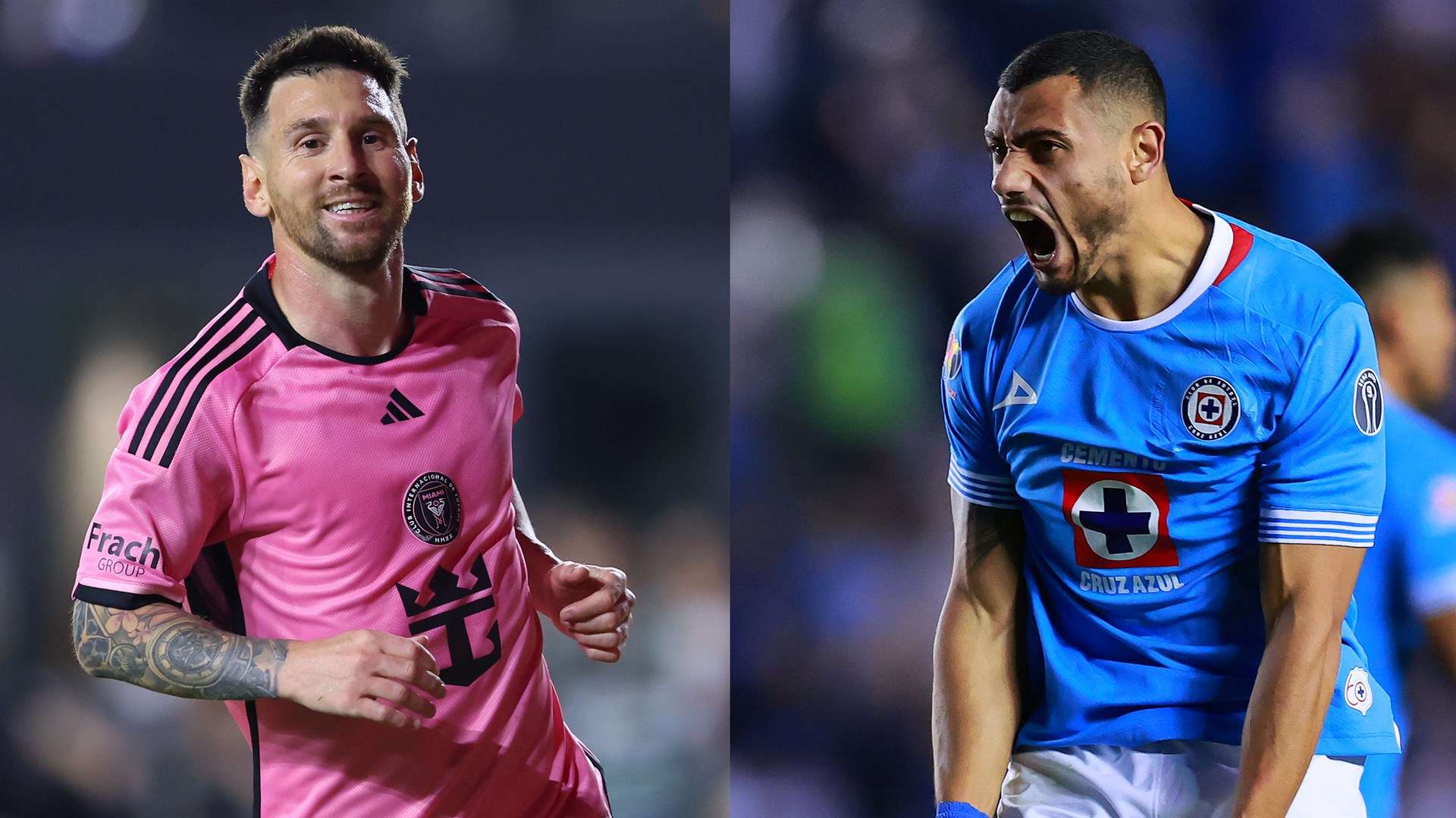 韧不拔的精 韧不拔的精