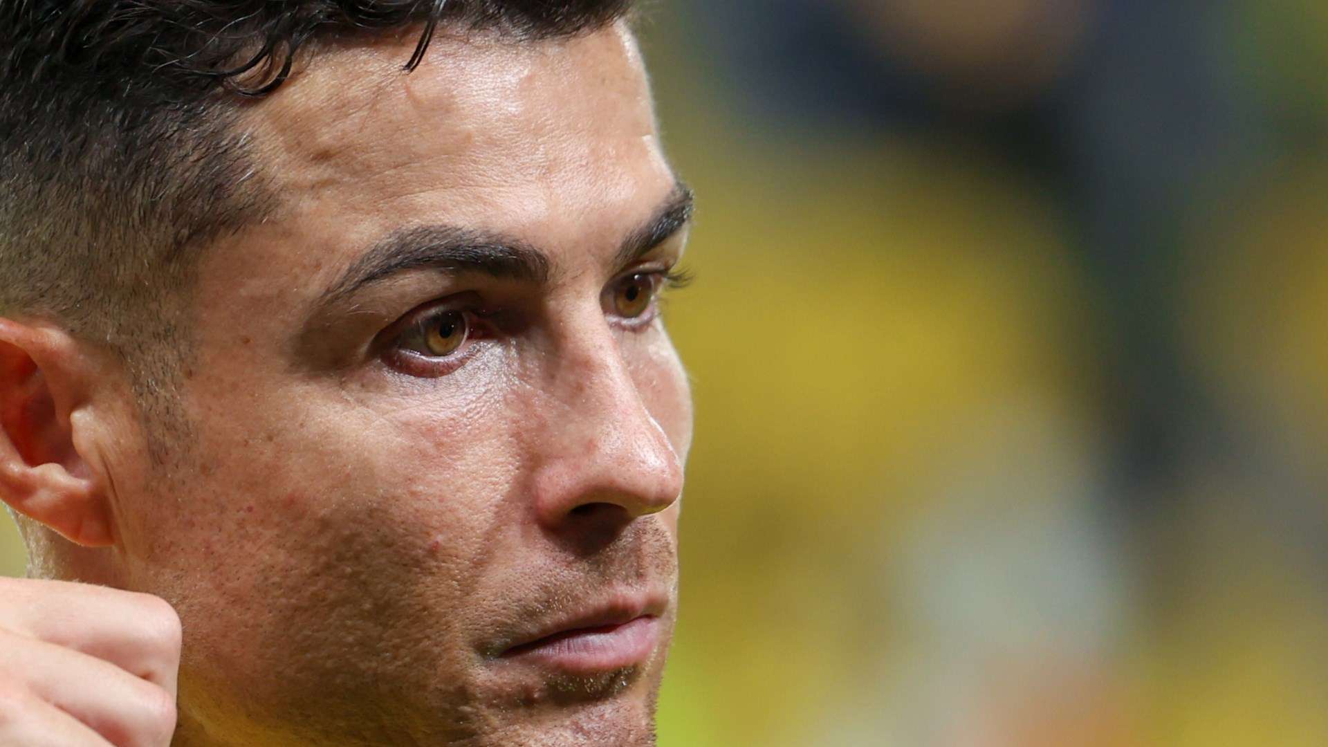 的胜利提供 的胜利提供