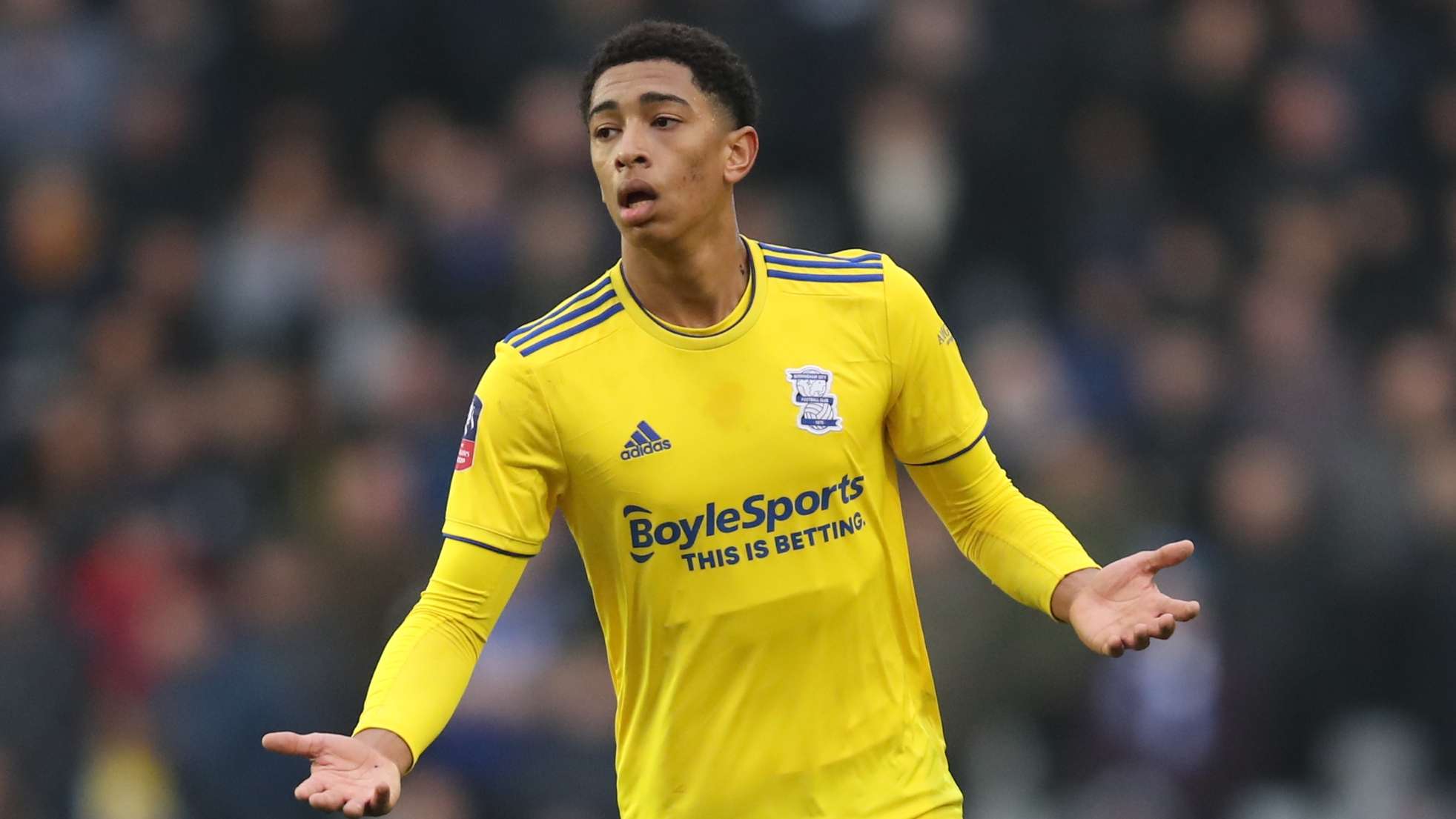 的强大适应 的强大适应