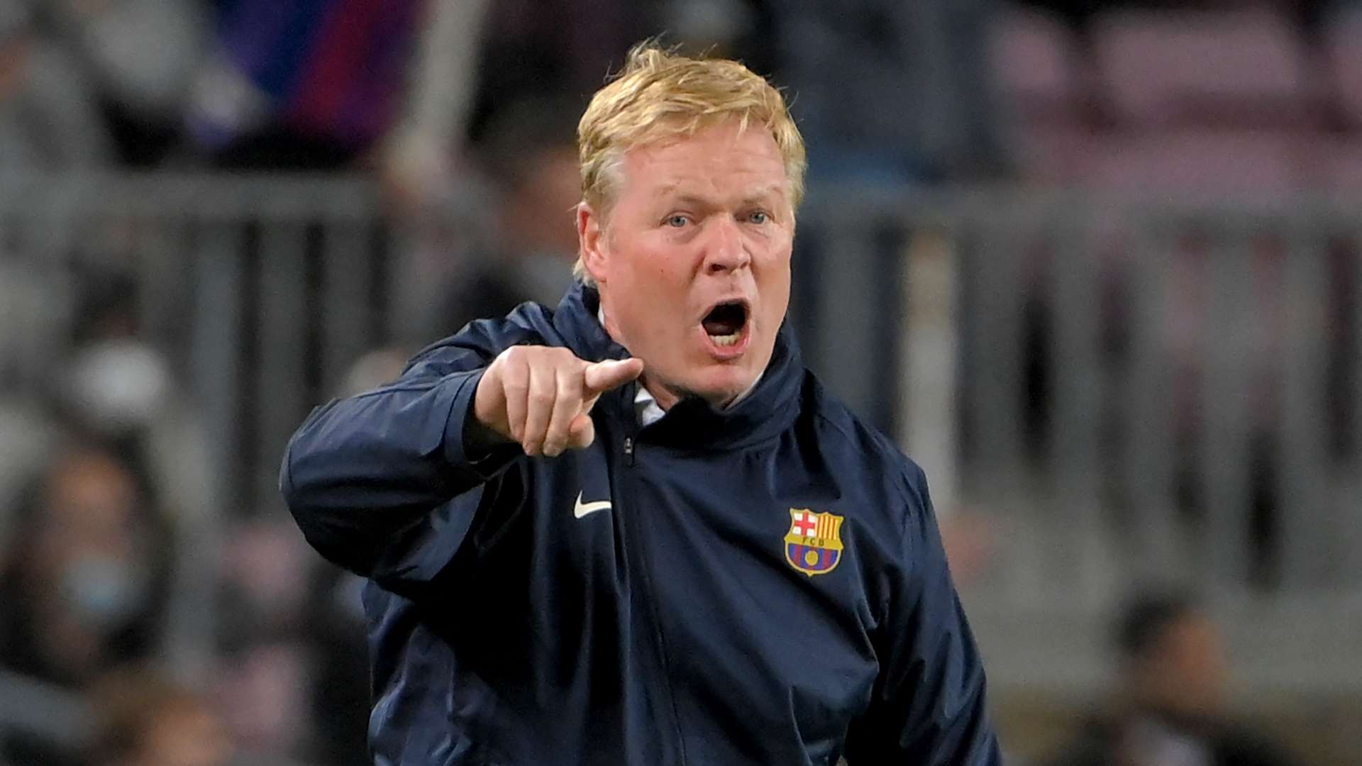 多样化的候 多样化的候