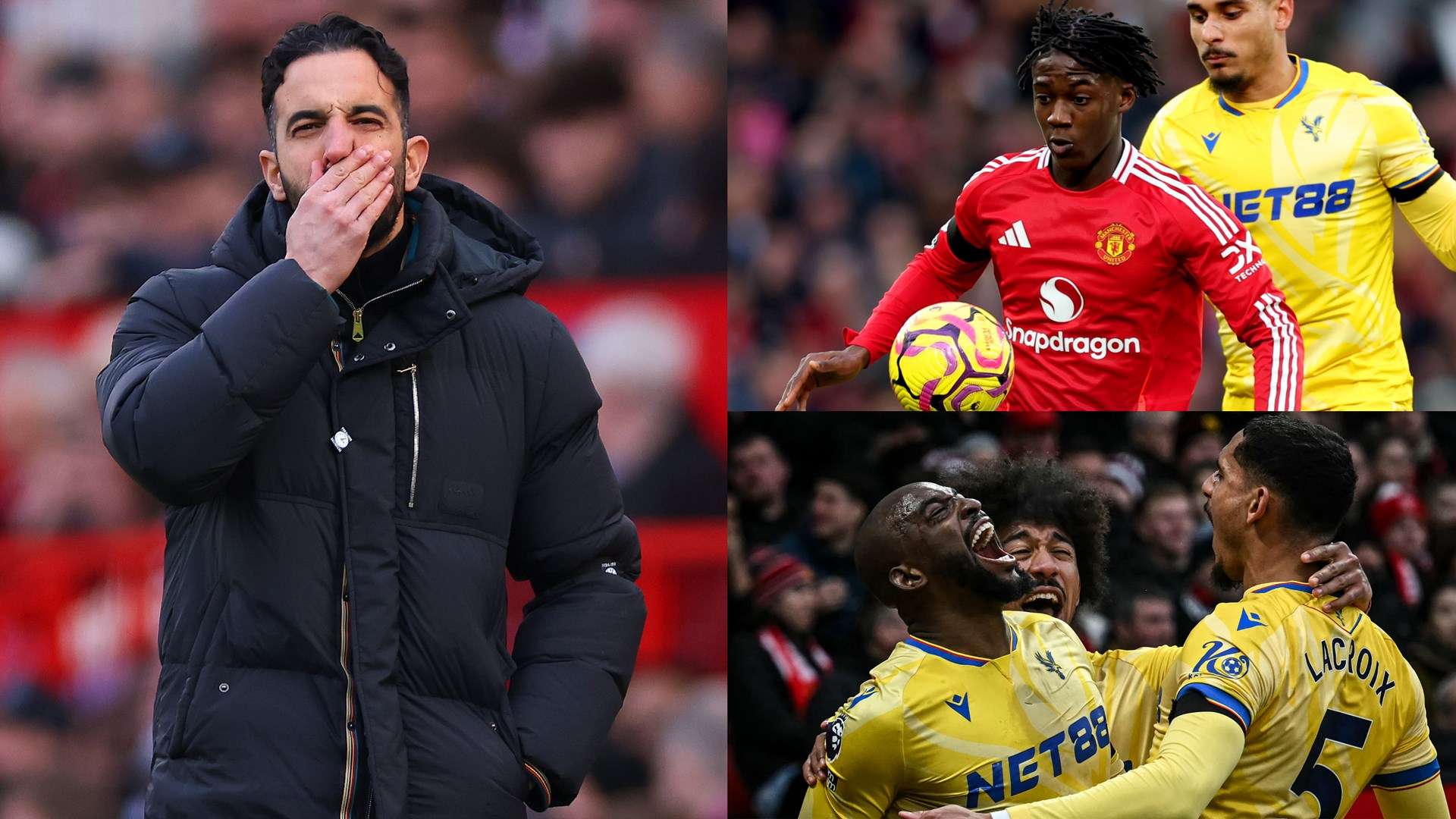 己不只是一 己不只是一