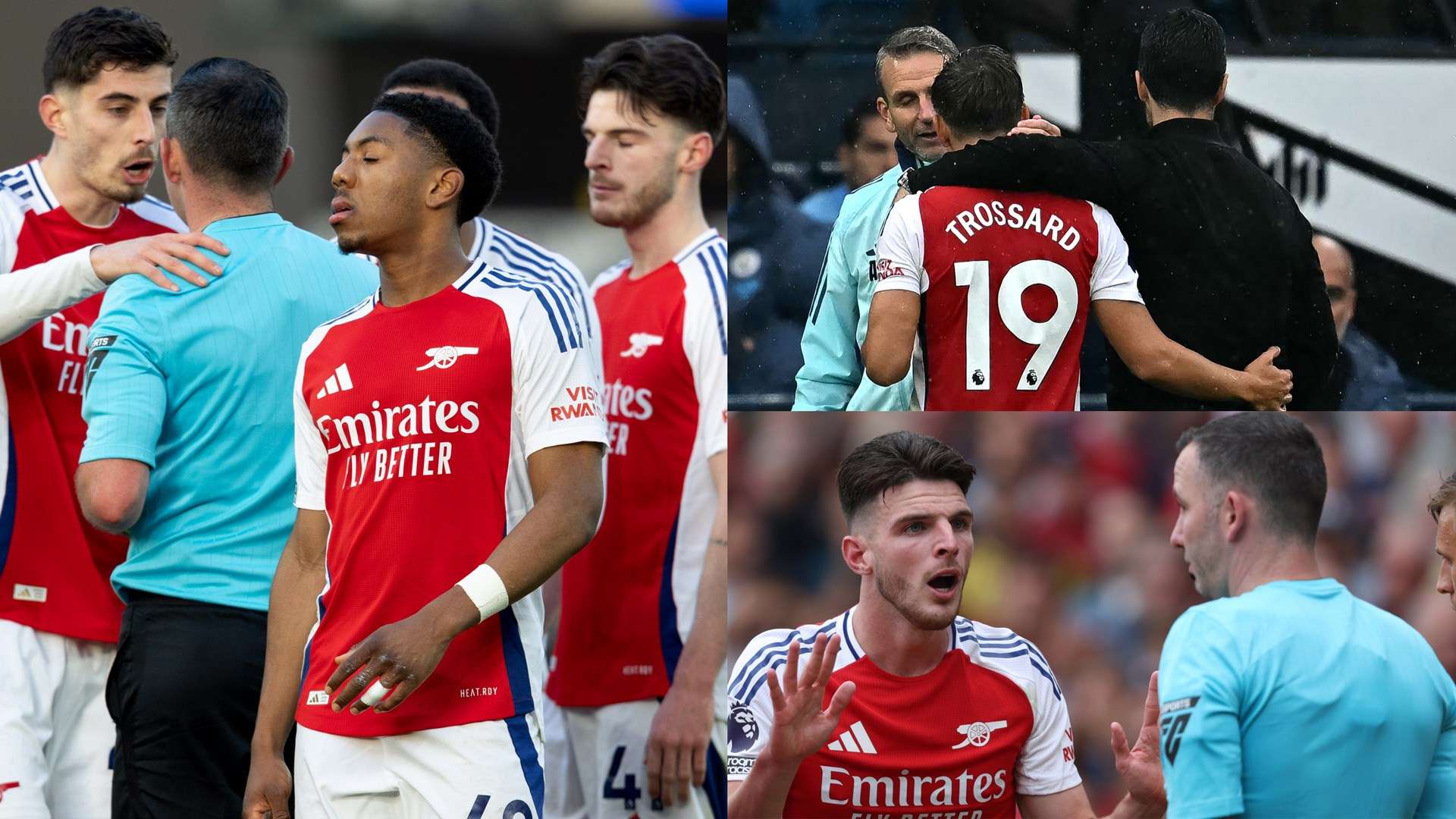 的大胆与无 的大胆与无